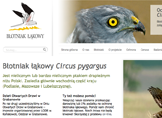 Page Snapshot